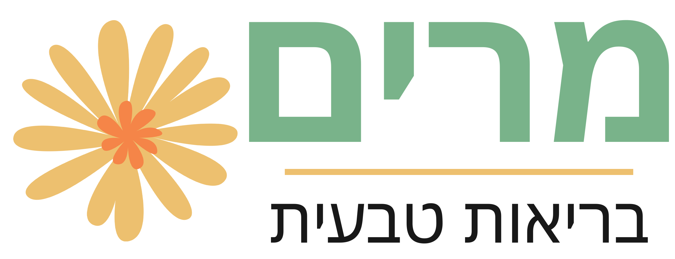 לוגו